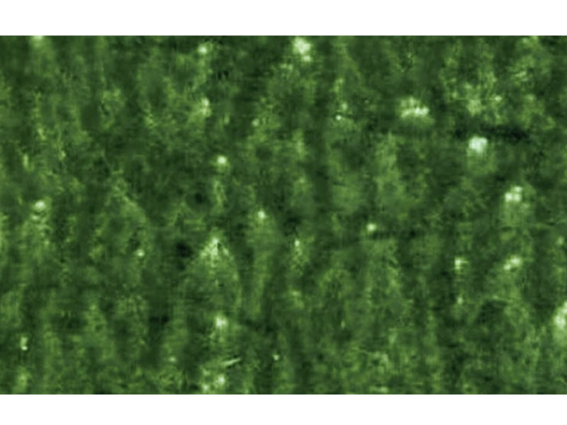 Flexografia-impressão-defeitos-de-imagem manchada